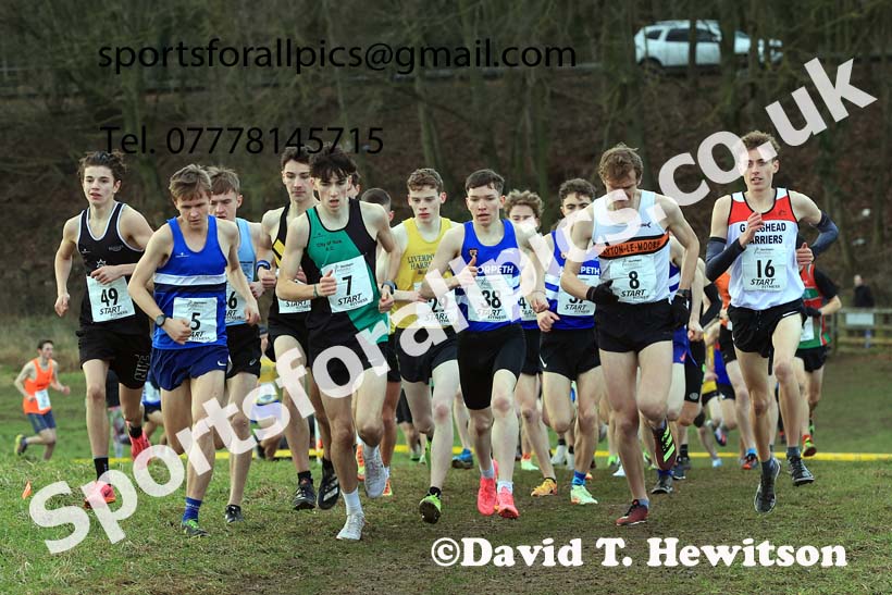 Junior Mens 2024 Northern Cross Country Champs., Sedgefield. Photo: David T. Hewitson/Sports for All Pics